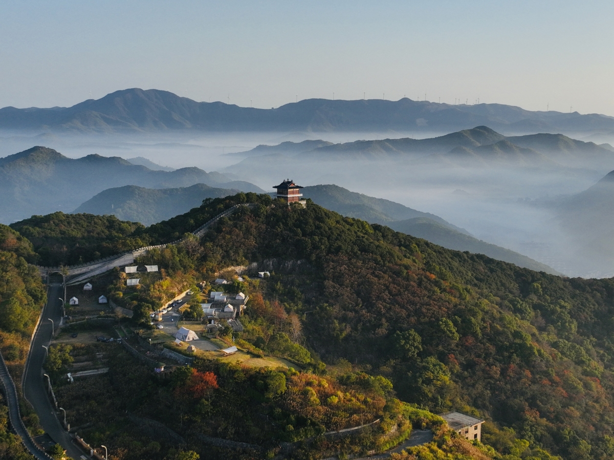权叔在野.jpg
