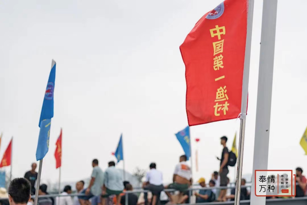 微信图片_20240702092945.jpg